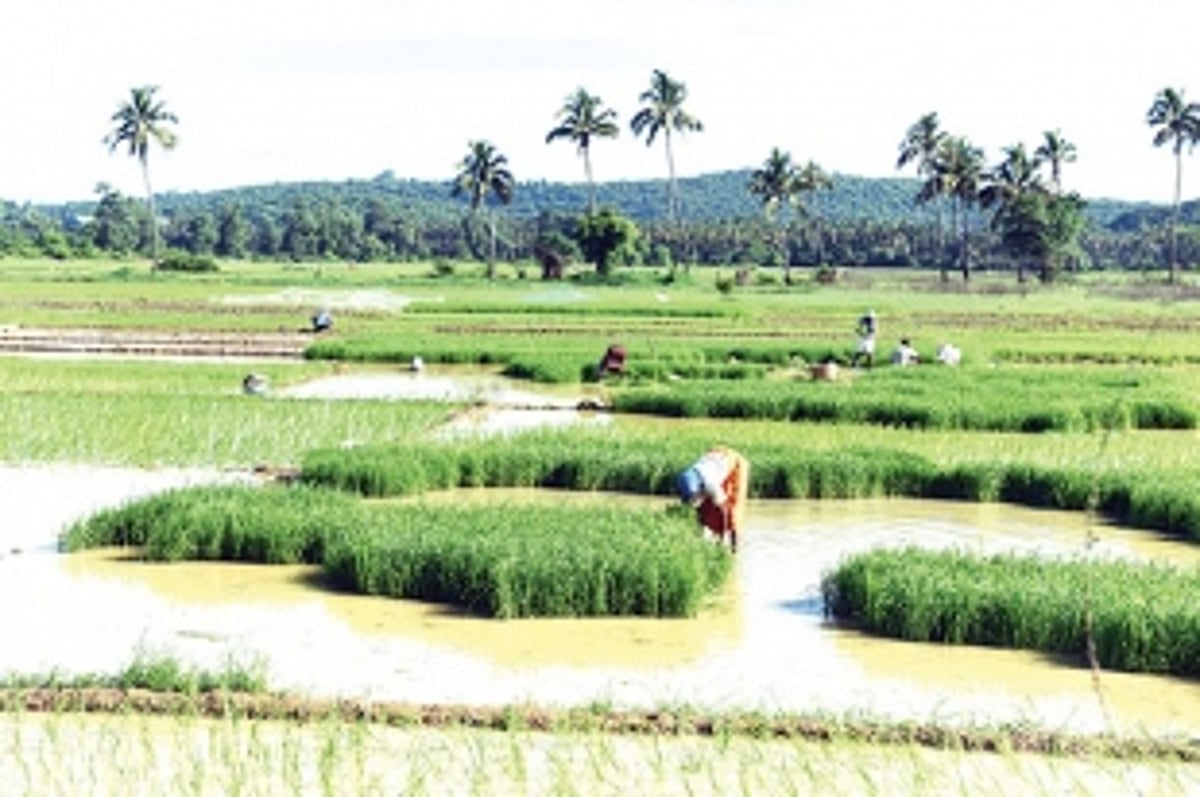 Mahatma Gandhi & Goan Villages
