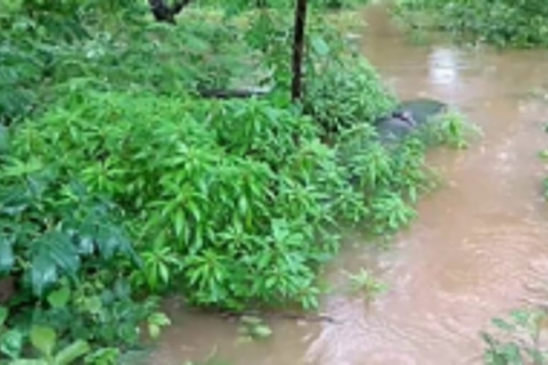 Mahdei tributaries engross  Ponda Taluka