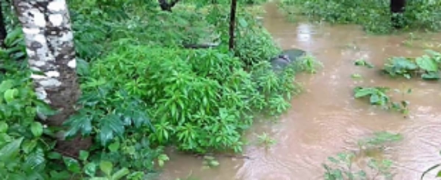 Mahdei tributaries engross Ponda Taluka 1 Mahdei tributaries engross Ponda Taluka