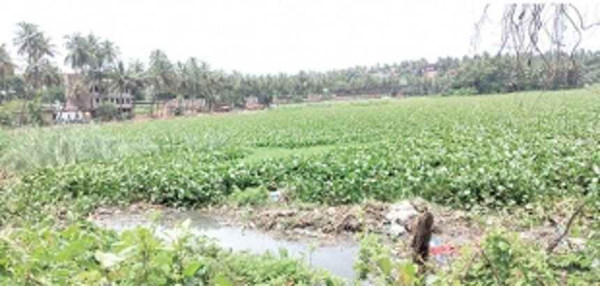 Maimolem Lake in Vasco will be developed under ‘Amrit Sarovar’ scheme: WRD Minister 1 Maimolem Lake in Vasco will be developed under ‘Amrit Sarovar’ scheme: WRD Minister