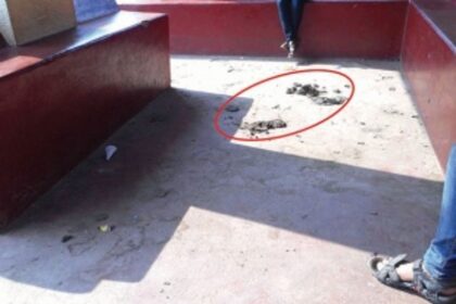 Maintain cleanliness at bus shelters