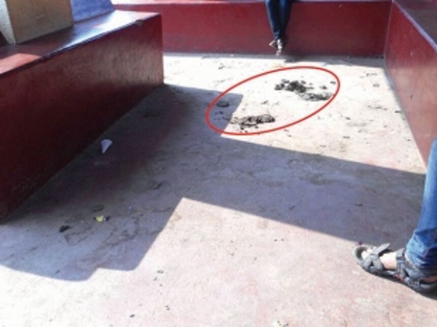 Maintain cleanliness at bus shelters 1 Maintain cleanliness at bus shelters