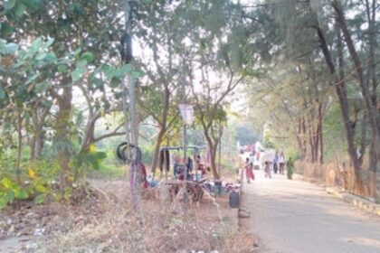 Maintain the city walkway at Rua De Ourem