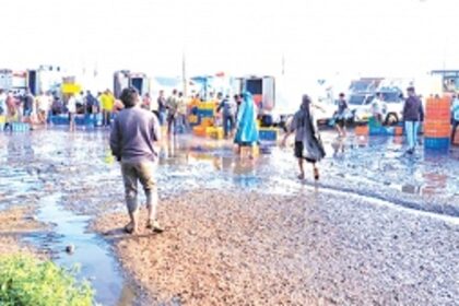 Maintenance cost of Rs 3.88 cr estimated for entire wholesale fish market:  SGPDA Chairman