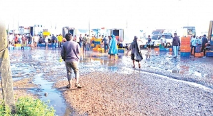 Maintenance cost of Rs 3.88 cr estimated for entire wholesale fish market:  SGPDA Chairman