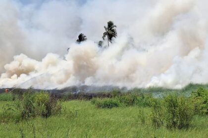Major Fire Breaks Out in Caranzalem Fields; Firefighters Rush to Contain Blaze