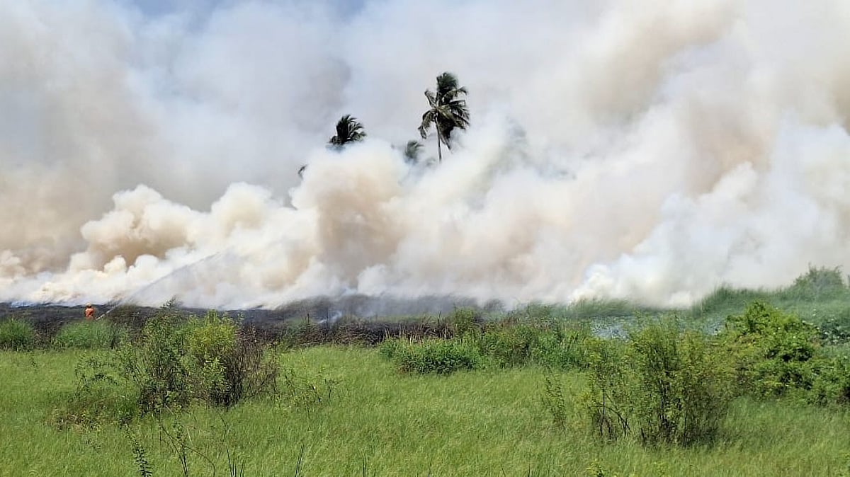 Major Fire Breaks Out in Caranzalem Fields; Firefighters Rush to Contain Blaze