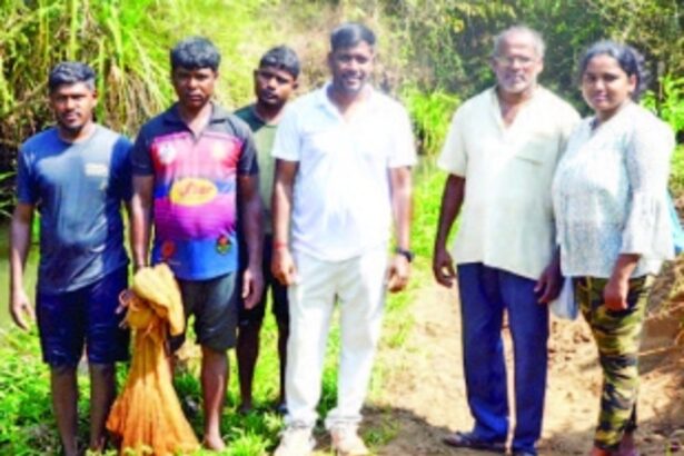Major decline in fish diversity in Quepem’s marshy Nanda Lake, warn scientists
