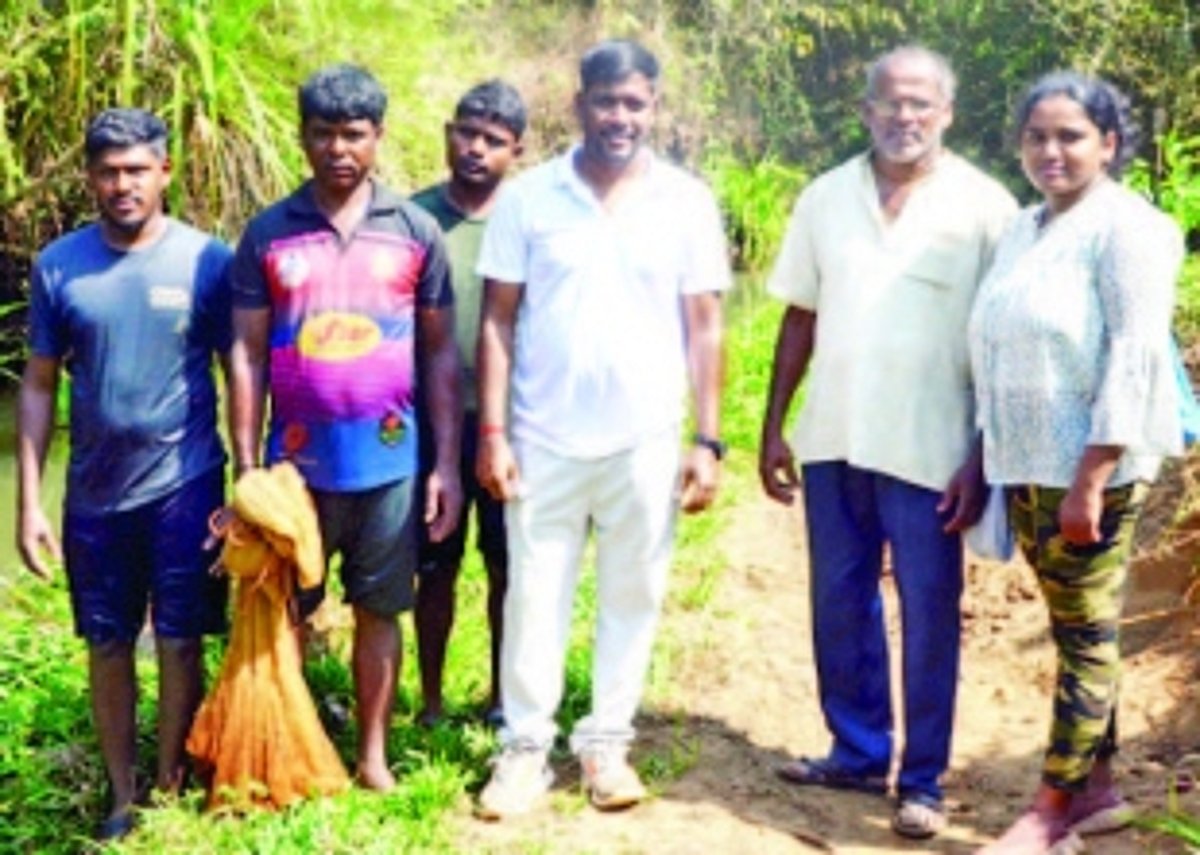 Major decline in fish diversity in Quepem’s marshy Nanda Lake, warn scientists