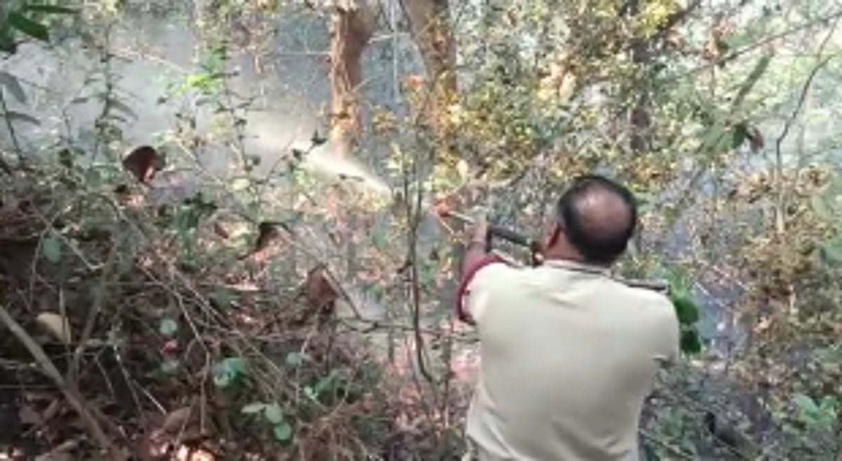 Major fire breaks out at a hillock at Nauta, Cortalim