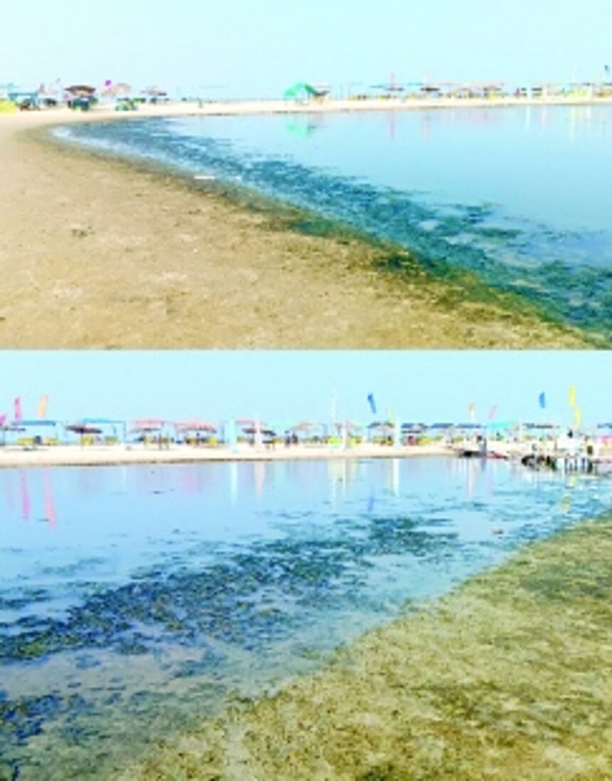 Majorda creek water stinks, beach needs more toilets 1 Majorda creek water stinks, beach needs more toilets