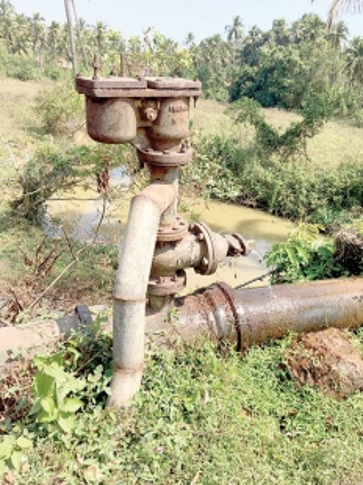 Make water conservation priority