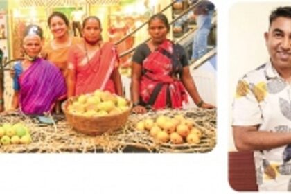 Make way for India’s king of fruits