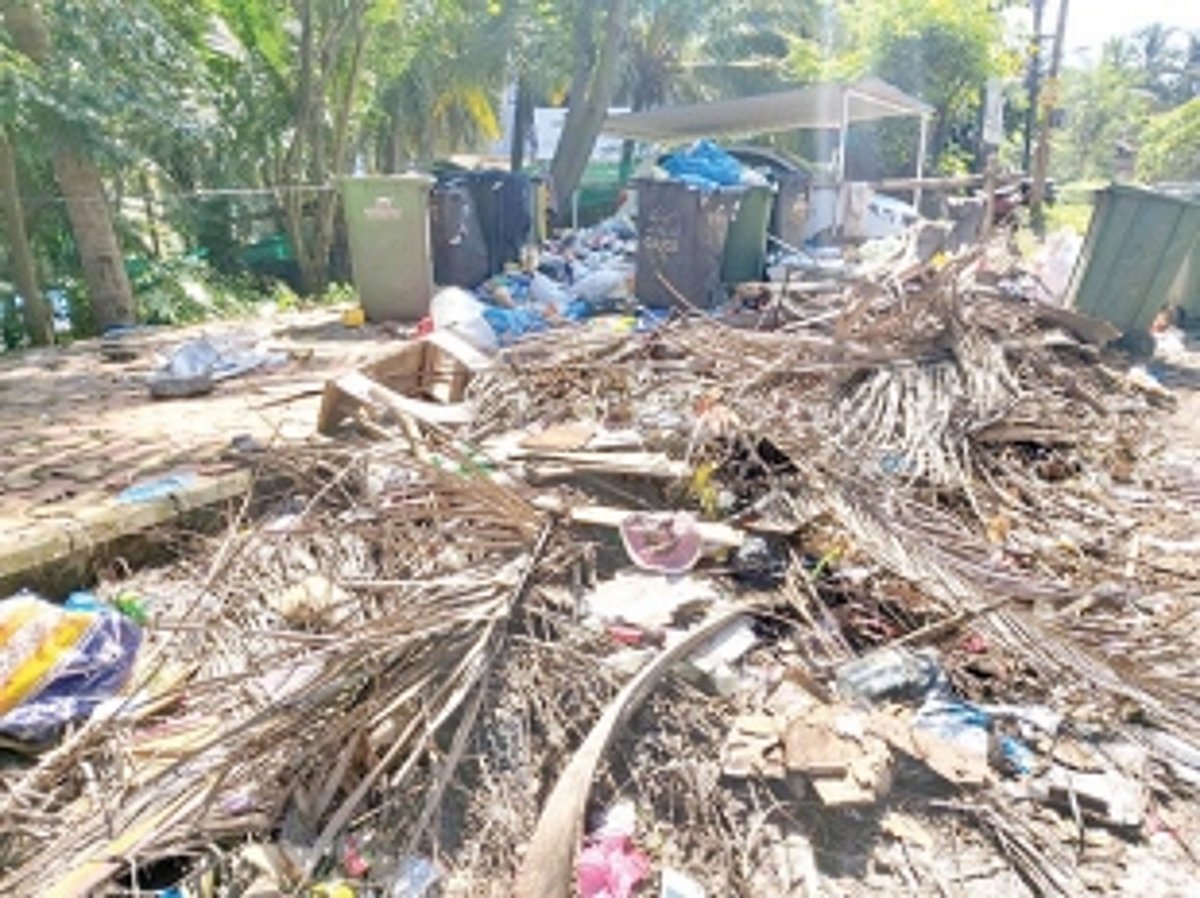 Malaria cases: MMC councillor  demands fogging in New Vaddem