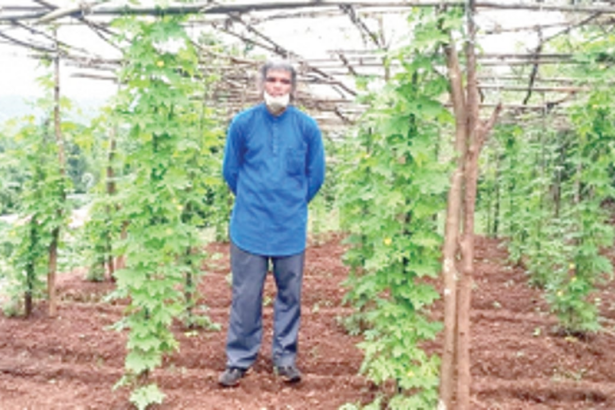 Mallekars urge for govt schemes, financial support to continue this age-old practice of vegetable cultivation