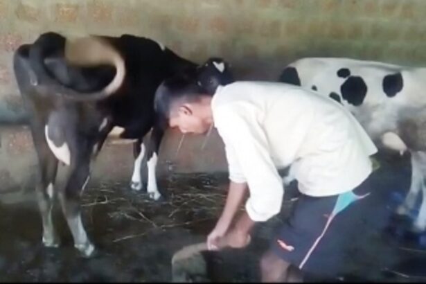 Malpan villagers stop dairy farming for lack of water