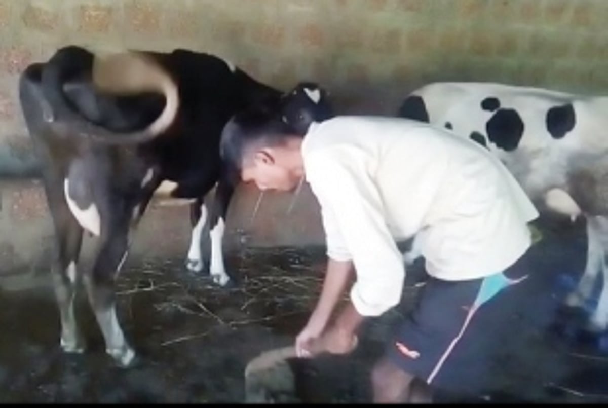 Malpan villagers stop dairy farming for lack of water