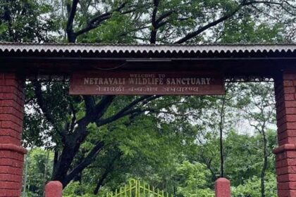 Man Arrested in Netravali for Illegal Electrocution of Animals, Forest Department Takes Strict Action