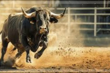 Man Dies After Being Struck by Fighting Bulls in Canacona