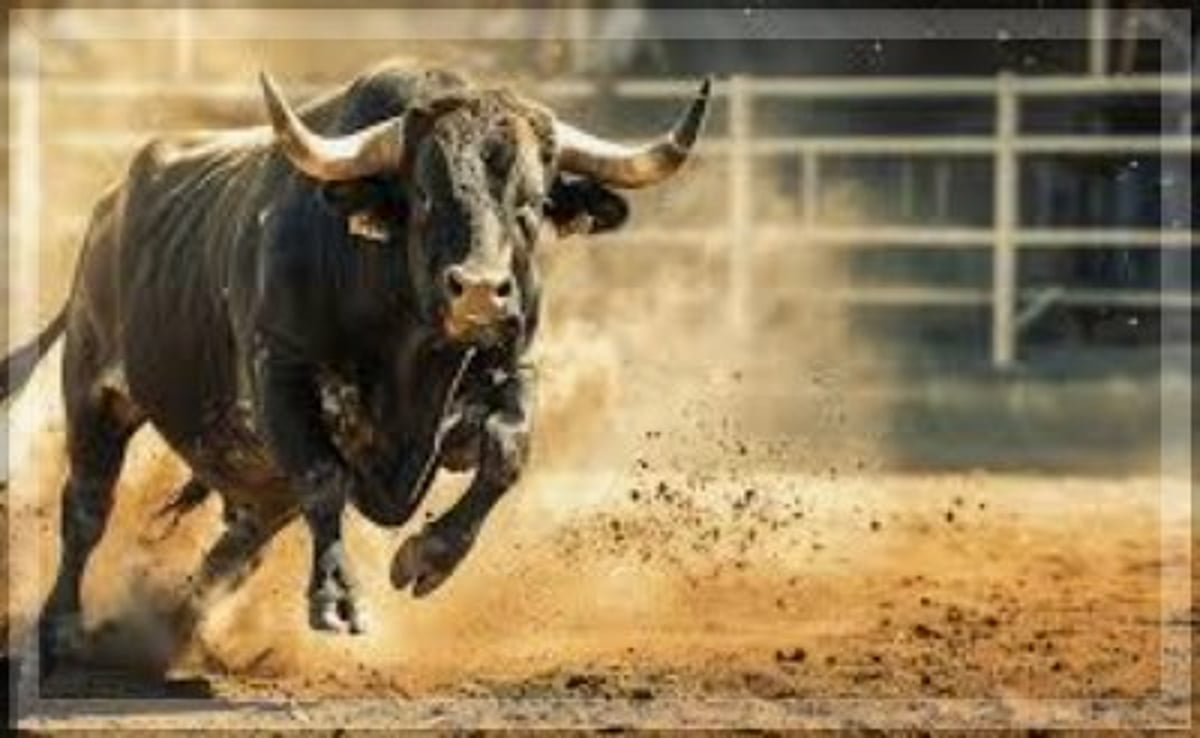 Man Dies After Being Struck by Fighting Bulls in Canacona