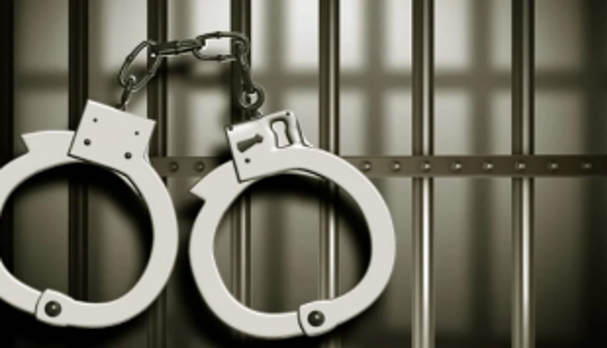 Man held for felling 7 Catechu trees at Dharbandora