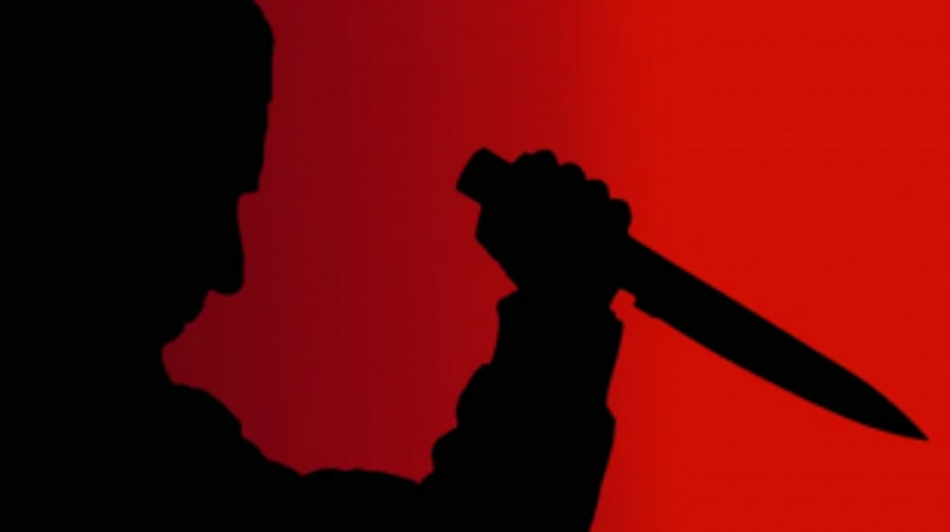 Man in Odisha Murders Wife, Surrenders at Police Station with Severed Head