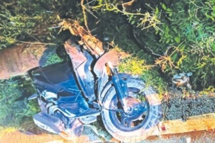 Man killed after his 2-wheeler rams against stray cattle