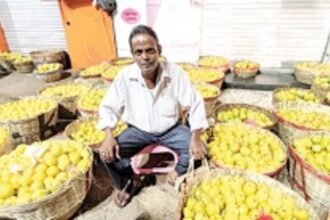 Mancurad mangoes flood Margao market