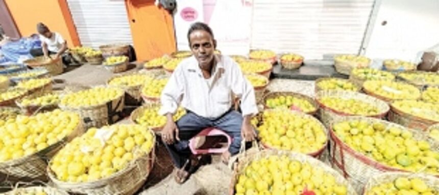 Mancurad mangoes flood Margao market