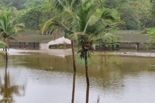 Mandovi Hatcheries suffers huge loss in floods