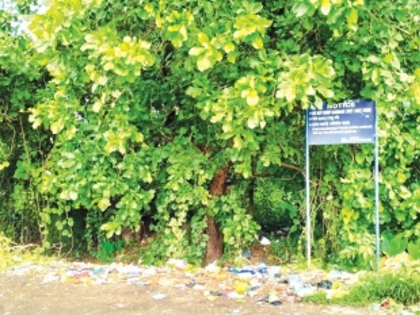 Mandrem VP calls for meet to solve garbage issue