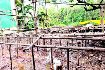 Mandrem: Where the creek is a sewage dump & coconut trees are acrushed by ‘development’