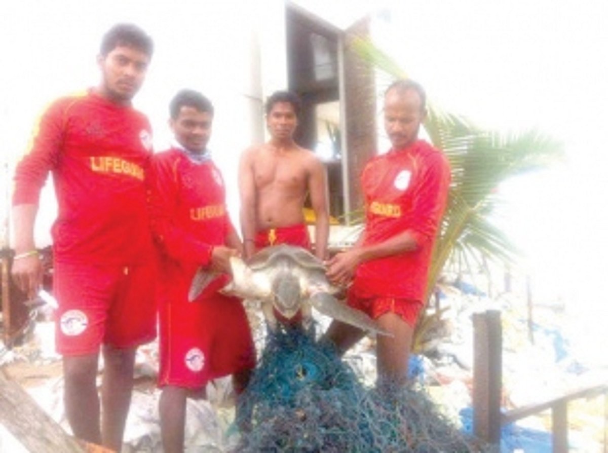 Mandrem shack owners  fear loss of livelihood