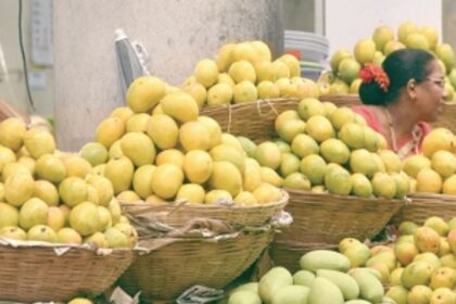 Mango Fest with a difference