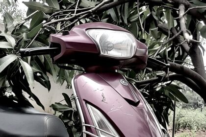 Mango Tree Falls on Moving Scooter in Valpoi, Rider Injured