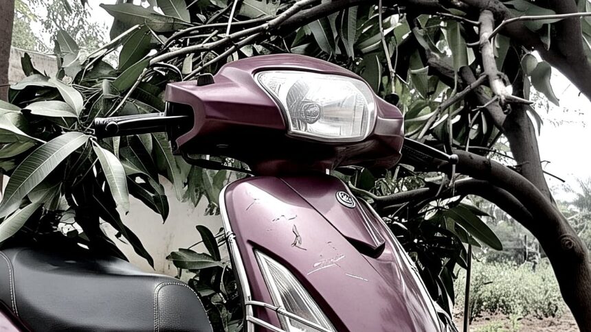Mango Tree Falls on Moving Scooter in Valpoi, Rider Injured 1 Mango Tree Falls on Moving Scooter in Valpoi, Rider Injured