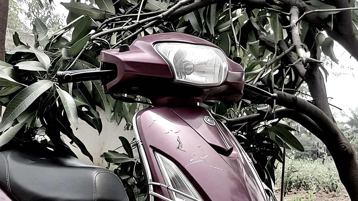 Mango Tree Falls on Moving Scooter in Valpoi, Rider Injured