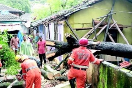 Mango tree crashes on house at  Vaddem, inmates escape unhurt