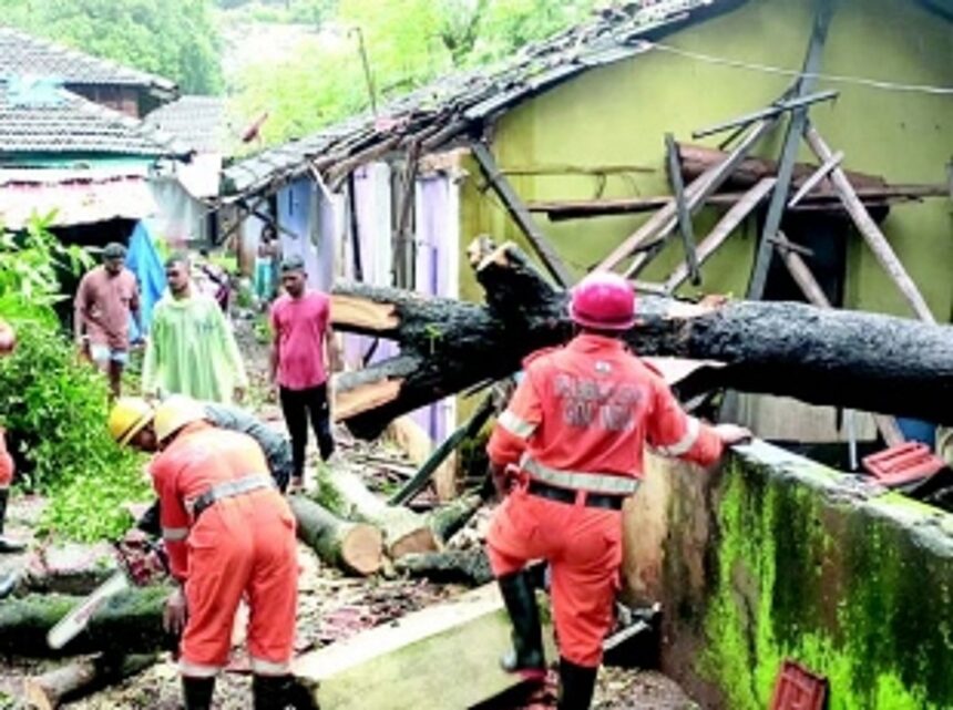 Mango tree crashes on house at  Vaddem, inmates escape unhurt