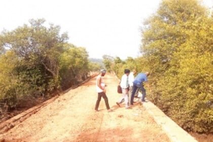 Mangroves being destroyed in Candolim during  bundh repairs: Calangute Constituency Forum