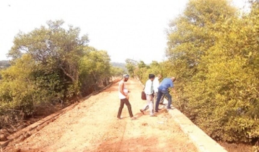 Mangroves being destroyed in Candolim during  bundh repairs: Calangute Constituency Forum
