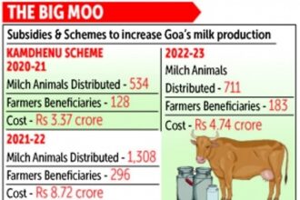 Many milch cows ‘distributed’ through schemes,  but still no ‘white revolution’ in Goa