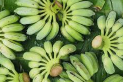 Mapusa Godown Sealed by FDA Illegally Opened; Two Detained