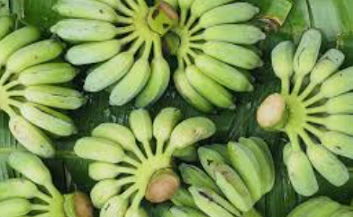 Mapusa Godown Sealed by FDA Illegally Opened; Two Detained