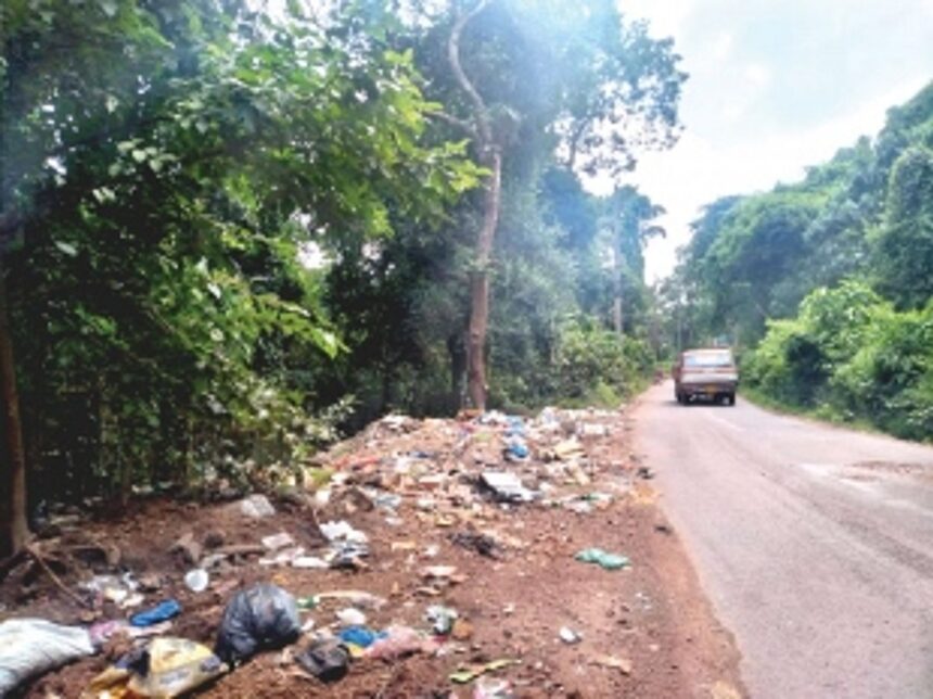 Mapusa Housing Board is favourite dumping ground for garbage