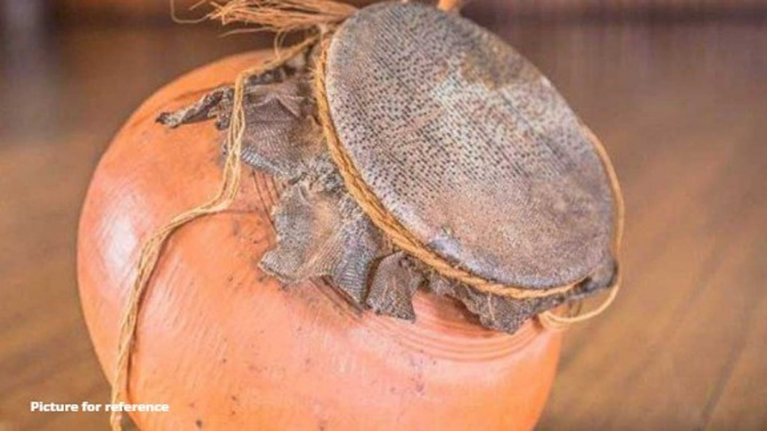 Mapusa Man Arrested with 47 Monitor Lizard Skins, 14 Ghumats in Forest Dept Raid 1 Mapusa Man Arrested with 47 Monitor Lizard Skins, 14 Ghumats in Forest Dept Raid