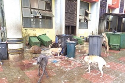 Mapusa Market kept dirty in  midst of COVID pandemic!