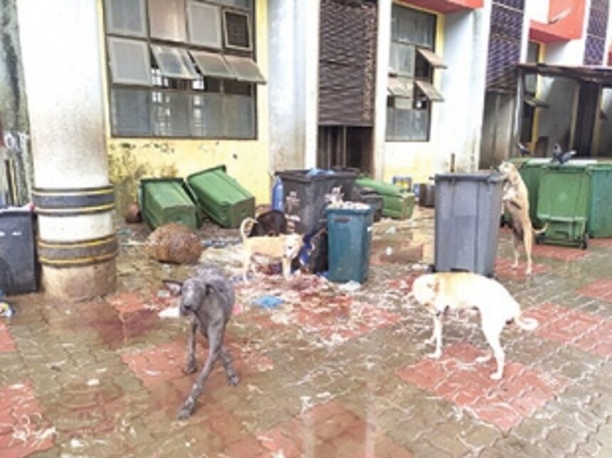 Mapusa Market kept dirty in midst of COVID pandemic! 1 Mapusa Market kept dirty in midst of COVID pandemic!