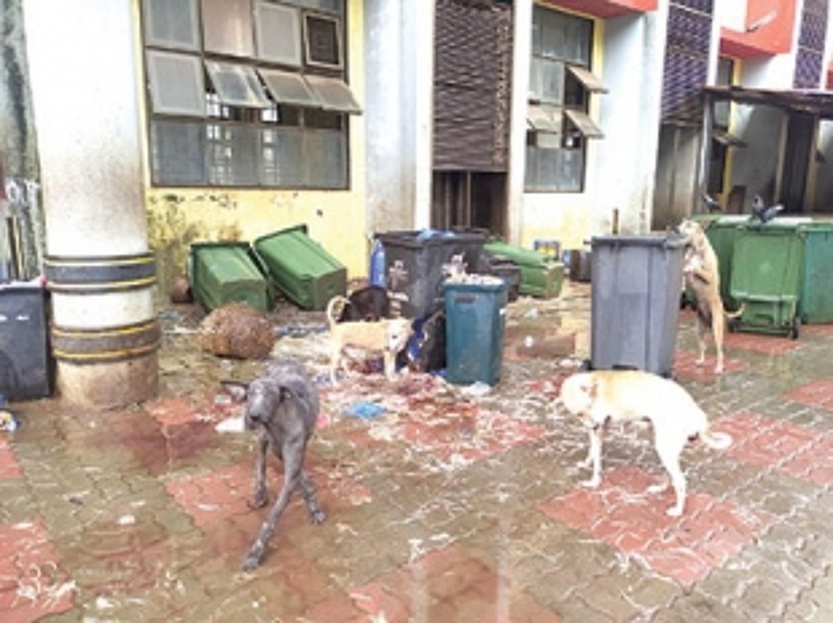 Mapusa Market kept dirty in  midst of COVID pandemic!