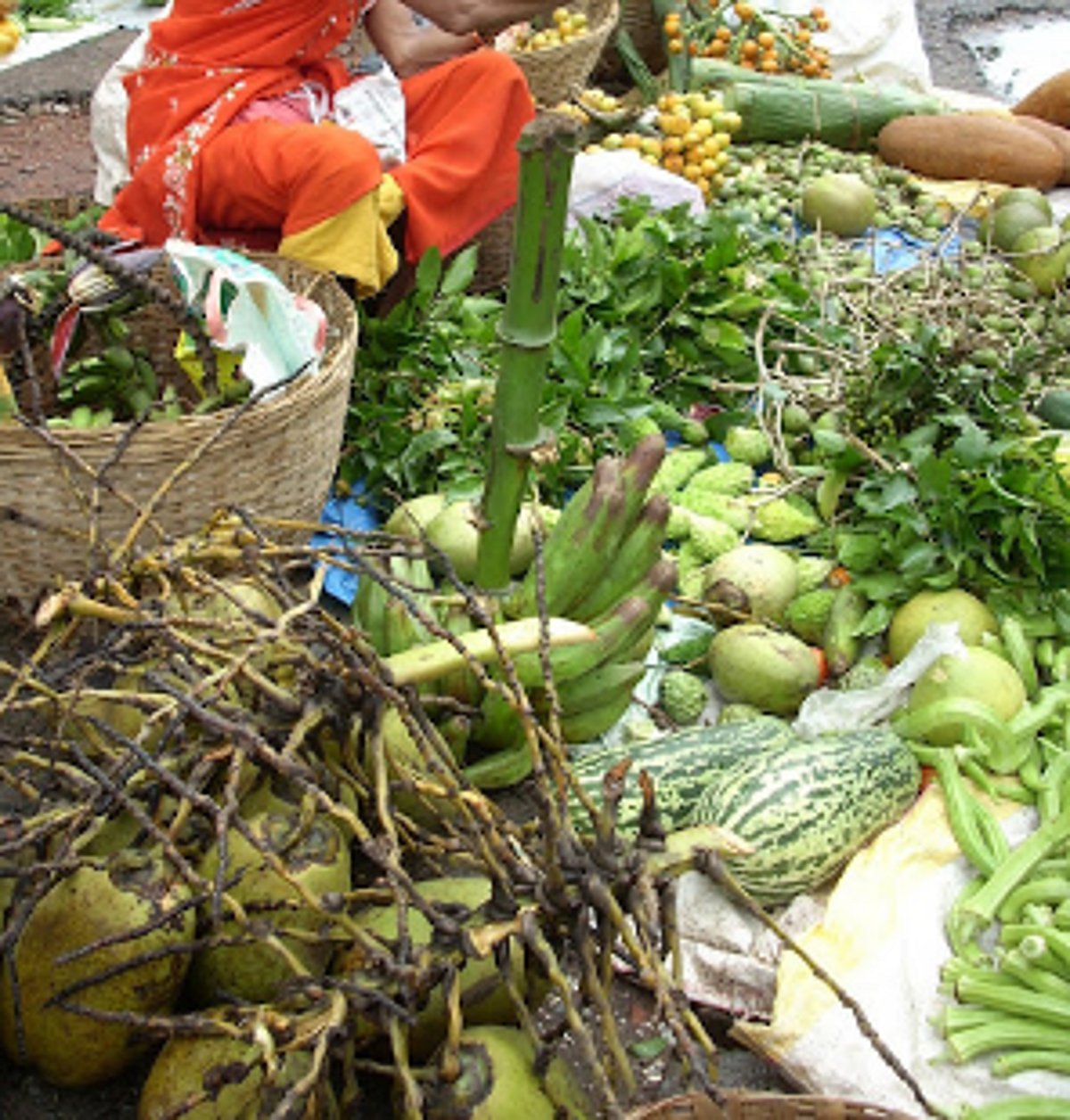 Mapusa Matoli Bazzar  near Shakuntala statue